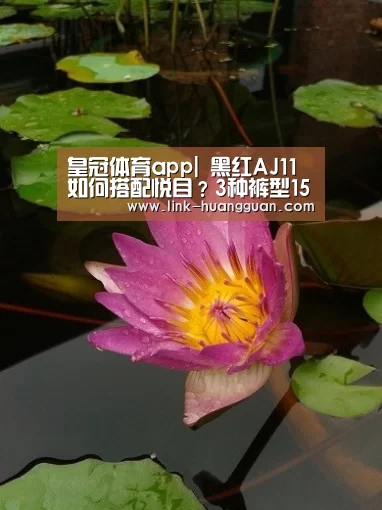 皇冠体育app