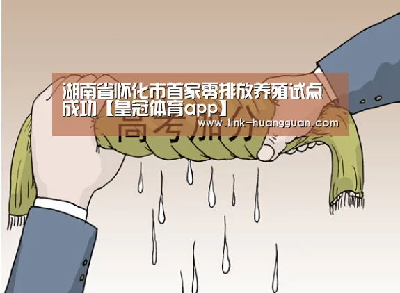 皇冠体育官方入口
