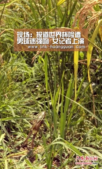 皇冠体育app