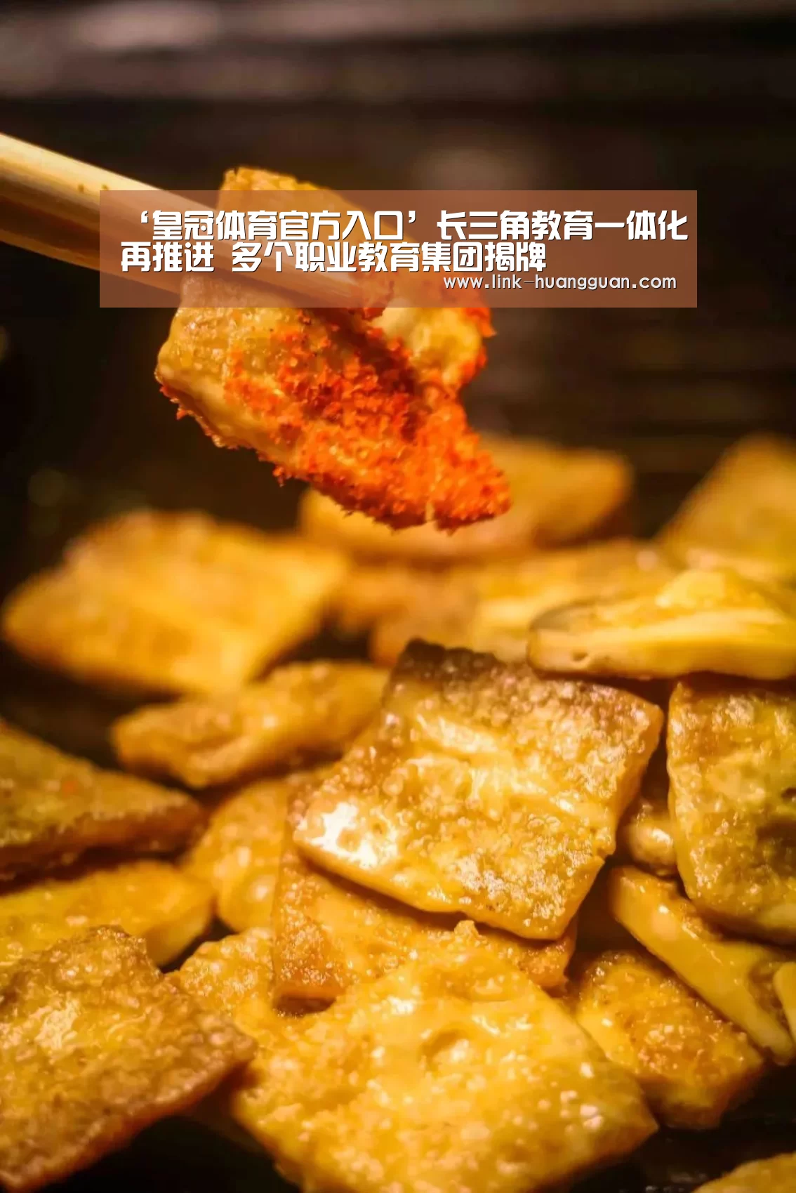 ‘皇冠体育官方入口’长三角教育一体化再推进 多个职业教育集团揭牌(图3) 皇冠体育网址